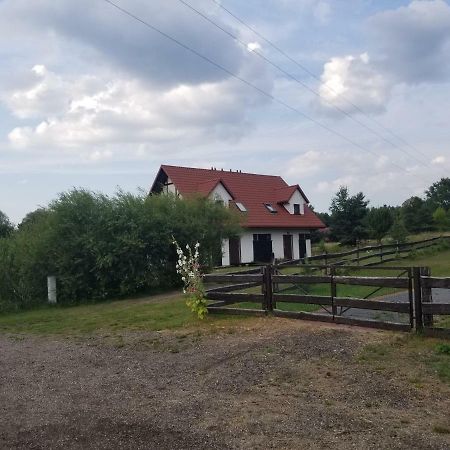 Apartmán Mazury Apartament Zakatek Salpia B Prażmowo Exteriér fotografie
