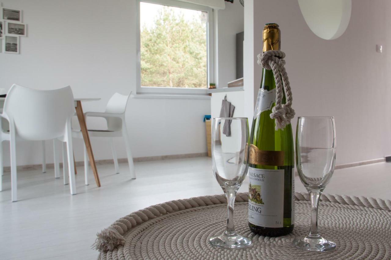 Apartmán Mazury Apartament Zakatek Salpia B Prażmowo Exteriér fotografie
